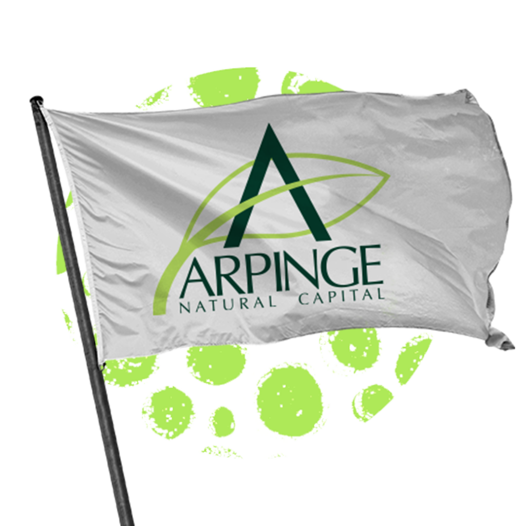 arpinge natural capital transizione energetica aziende