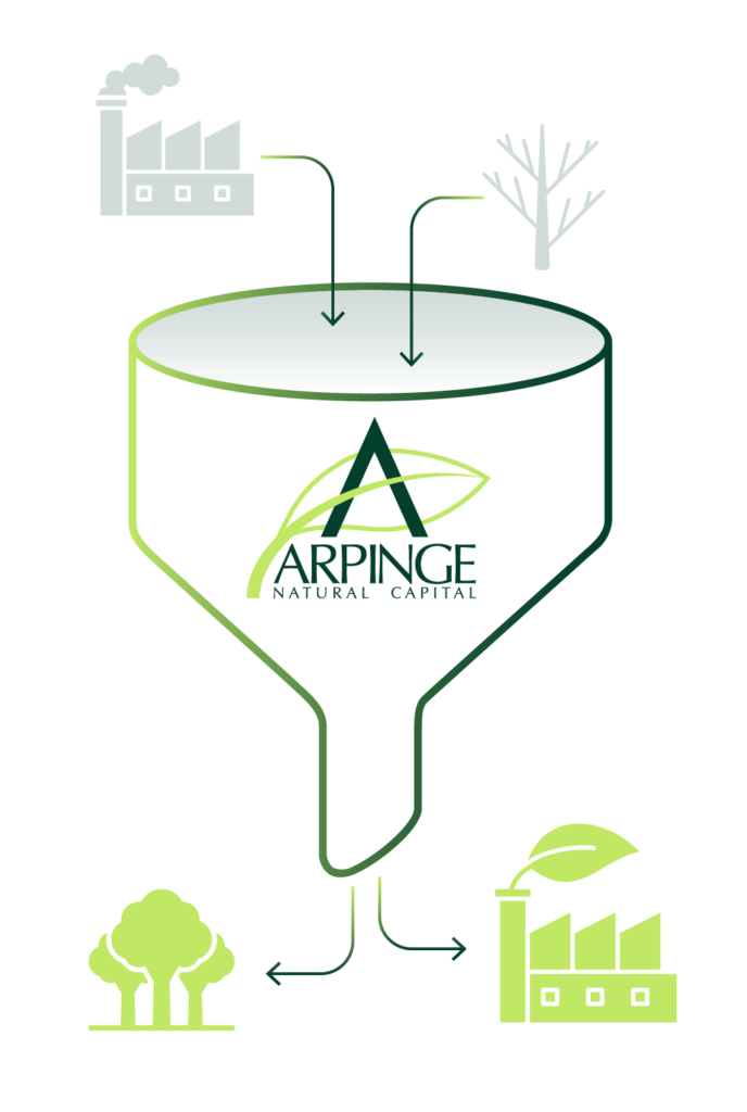 strategia arpinge transizione ecologica aziende