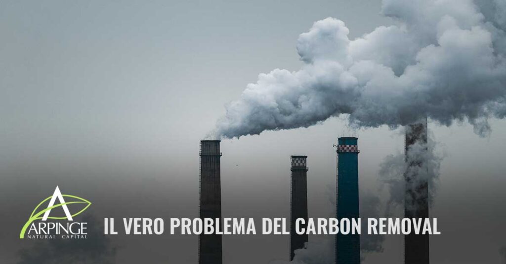-CARBON-REMOVAL-ARPINGE-NATURAL-CAPITAL