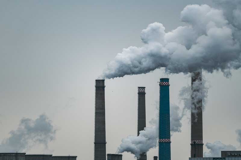 --CARBON-REMOVAL-ARPINGE-NATURAL-CAPITAL